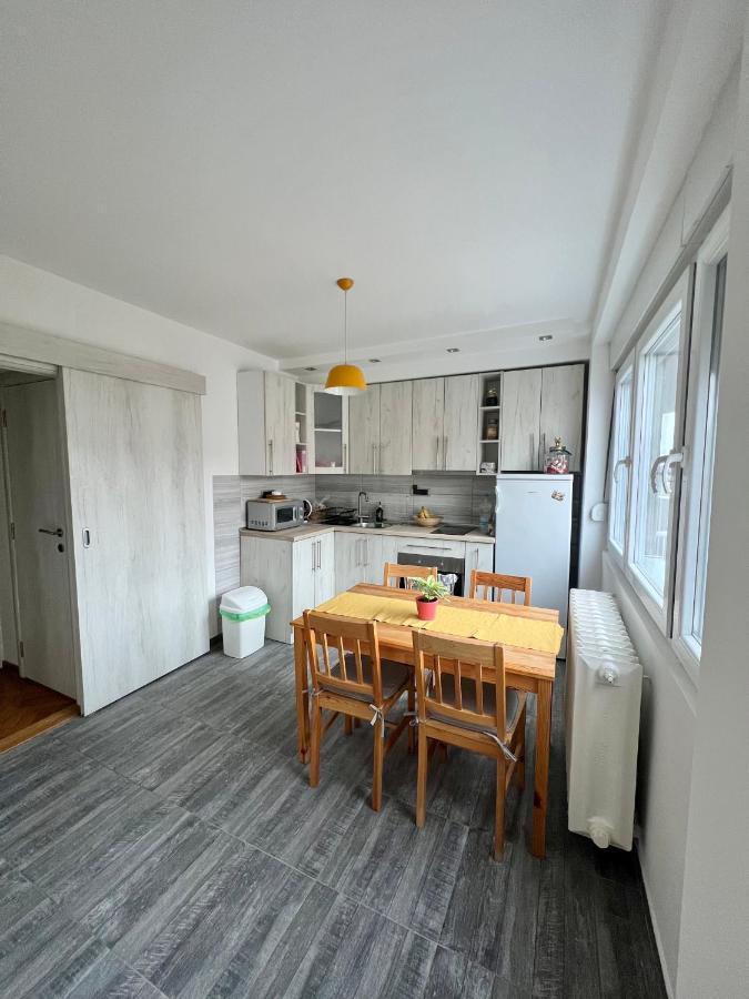 בלגרד Comfortable Apartment In City Hub מראה חיצוני תמונה