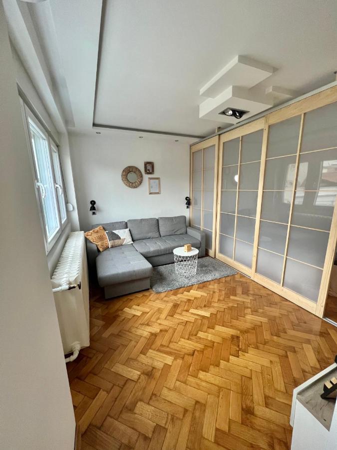 בלגרד Comfortable Apartment In City Hub מראה חיצוני תמונה